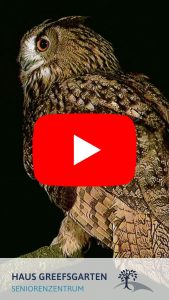 Pflegefachkräfte für den Nachtdienst gesucht!